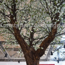 040 pfirsichblütenbaum h.500cm,dm.350cm-detail
